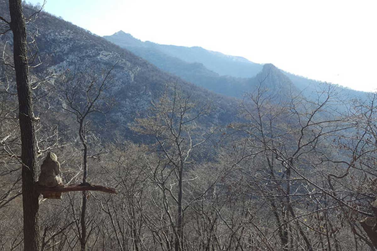 passeggiate in montagna