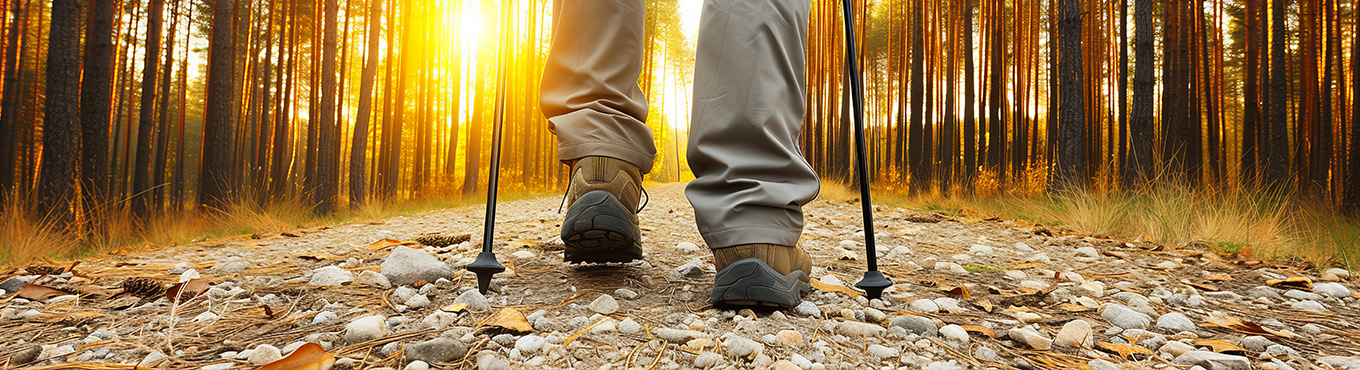 nordic walking