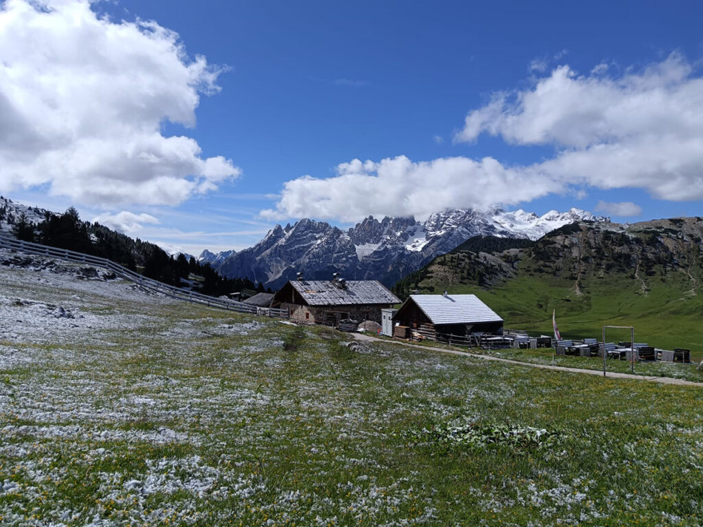 Dolomiti Fitness Experience 2026