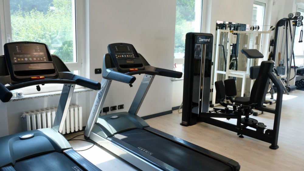 palestra sistemha