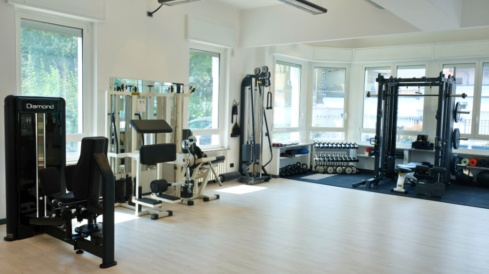 palestra sistemha